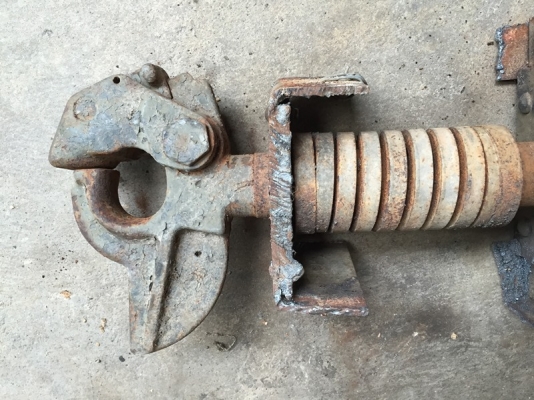 ปากนกแก้วลากของ