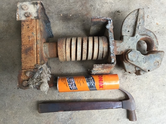 ปากนกแก้วลากของ