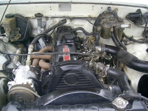 ถูกๆ ดีๆ ไมตี้ ขาว ครับ