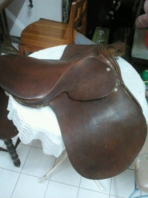 ขออนุญาติขาย อานม้า usa ขออนุญาติขาย อานม้า usa