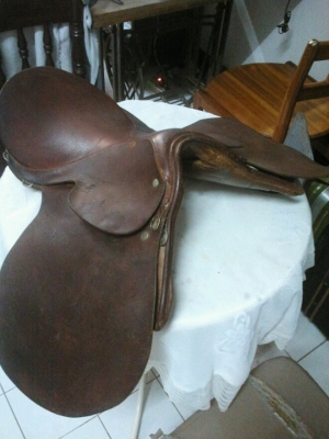 ขออนุญาติขาย อานม้า usa ขออนุญาติขาย อานม้า usa