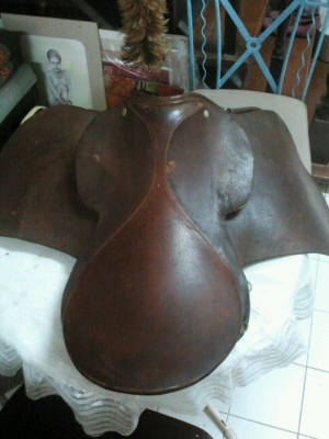 ขออนุญาติขาย อานม้า usa