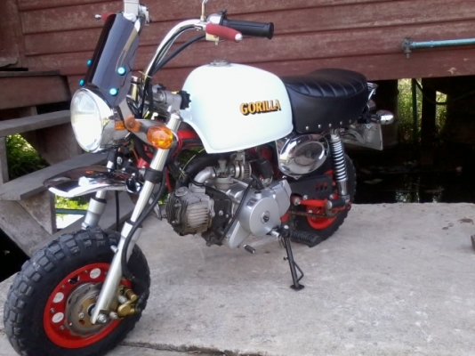 กอริลล่า สภาพดีครับ มีไรแลกเสนอได้ครับ