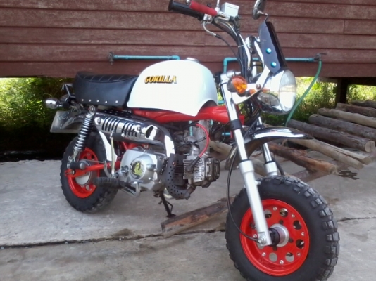 กอริลล่า สภาพดีครับ มีไรแลกเสนอได้ครับ