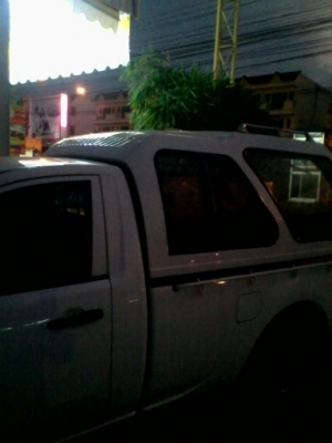 ขาย แครี้บอย MITSUBISHI TRITON