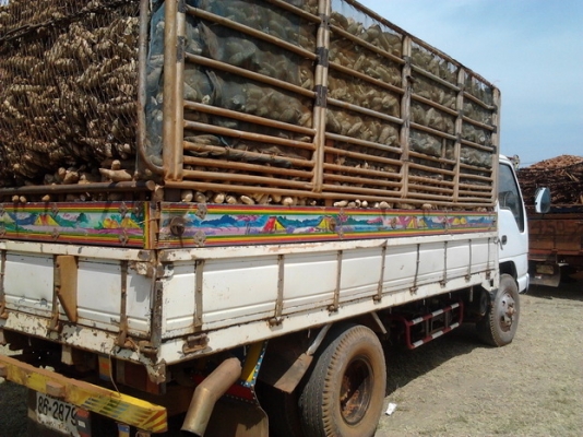 ISUZU NPR 115 ปี 35 เครื่อง 175 HP 6BG1 กระบะคอกเหล็กยาว 4.30 เมตร วางหัวเก๋งหัวการ์ตูนสภาพอย่างสวย ลงเล่มครบถูกต้องทุกอย่าง เครื่องแน่นแรงดี ภายในเก๋งสวยครบ แอร์เย็น พวงมาลัยเพาเวอร์ เบรคทริ๊ปฟี้ครบครัน ช่วงล่างใหญ่คัชซีสวยติด F หน้าหลังครบ ทะเบียนภาษีคร ISUZU NPR 115 ปี 35 เครื่อง 175 HP 6BG1 กระบะคอกเหล็กยาว 4.30 เมตร วางหัวเก๋งหัวการ์ตูนสภาพอย่างสวย ลงเล่มครบถูกต้องทุกอย่าง เครื่องแน่นแรงดี ภายในเก๋งสวยครบ แอร์เย็น พวงมาลัยเพาเวอร์ เบรคทริ๊ปฟี้ครบครัน ช่วงล่างใหญ่คัชซีสวยติด F หน้าหลังครบ ทะเบียนภาษีคร