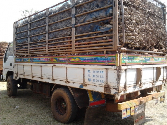 ISUZU NPR 115 ปี 35 เครื่อง 175 HP 6BG1 กระบะคอกเหล็กยาว 4.30 เมตร วางหัวเก๋งหัวการ์ตูนสภาพอย่างสวย ลงเล่มครบถูกต้องทุกอย่าง เครื่องแน่นแรงดี ภายในเก๋งสวยครบ แอร์เย็น พวงมาลัยเพาเวอร์ เบรคทริ๊ปฟี้ครบครัน ช่วงล่างใหญ่คัชซีสวยติด F หน้าหลังครบ ทะเบียนภาษีคร