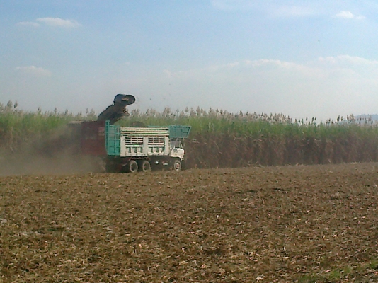 ขายรถบรรทุก 10 ล้อ  2 เพลา ดั้มพร้อมใช้งาน