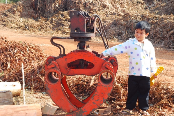 ขาย ปากคีบไม้ ขาย ปากคีบไม้