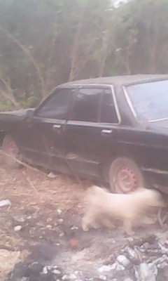 แยกอะไหล่บรูเบิรด์ 910เครื่องCA18 เกียร์ธรรมดา9000ประตูบานละ1000ทะเบียน2000 แยกอะไหล่บรูเบิรด์ 910เครื่องCA18 เกียร์ธรรมดา9000ประตูบานละ1000ทะเบียน2000