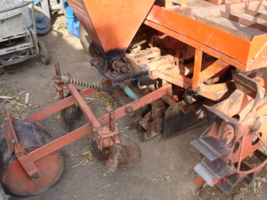 ขายหางปลูกอ้อยของก.แสงยนต์ สองหัว 30เซ็น สนใจโทรสอบถาม 081-8570337 คุณสวน