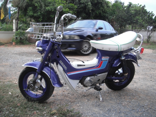 ชาลีสวยๆ ชาลีสวยๆ