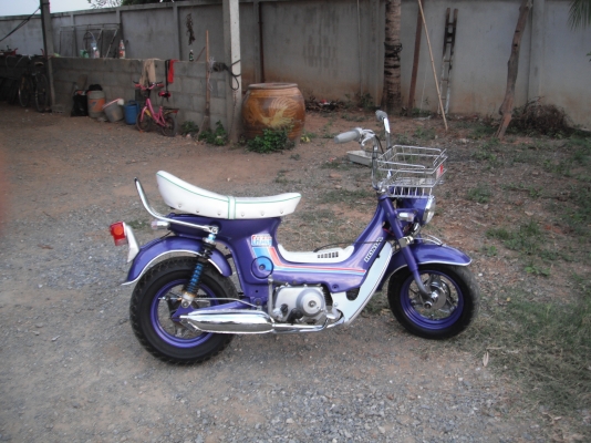 ชาลีสวยๆ