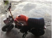 ขาย Gorila ถูกๆ