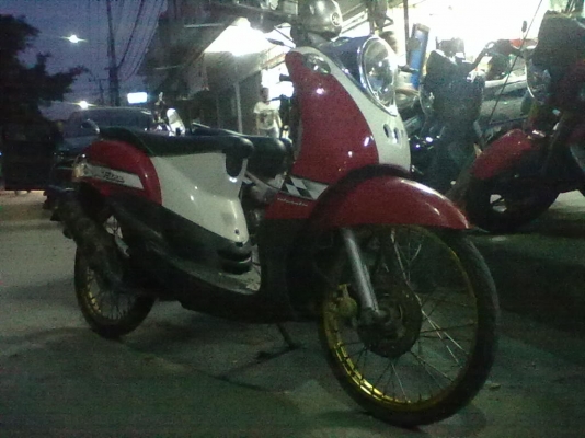 ฟรีโนปี 51