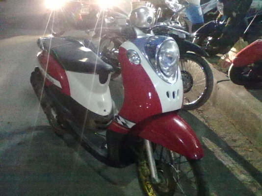 ฟรีโนปี 51