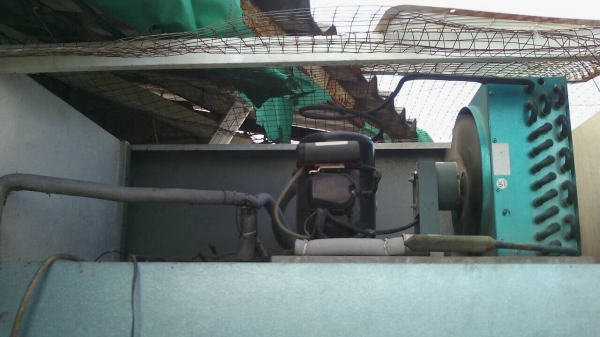 @@@@@ ขายตู้แช่2ประตู @@@@@ @@@@@ ขายตู้แช่2ประตู @@@@@