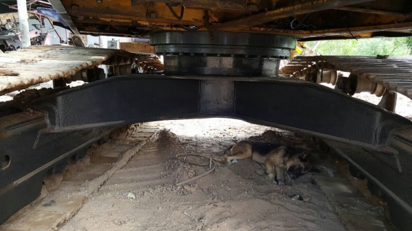 ขายแบคโฮ KOMATSU PC200-5 เอกสารเล่มทะเบียน เครื่อง ISUZU 6BG1 ปั้มดี รถใช้งานได้ปกติครับ ขายแบคโฮ KOMATSU PC200-5 เอกสารเล่มทะเบียน เครื่อง ISUZU 6BG1 ปั้มดี รถใช้งานได้ปกติครับ