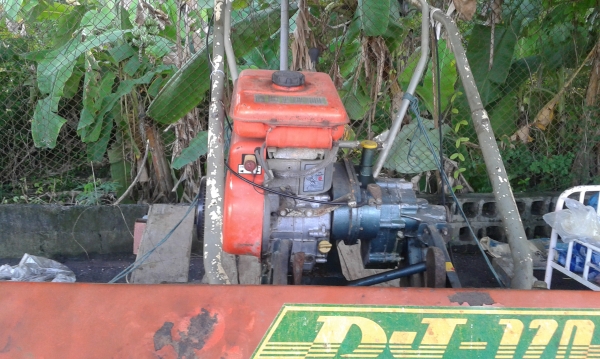 ของถูกมาอีกแล้ว ของถูกมาอีกแล้ว