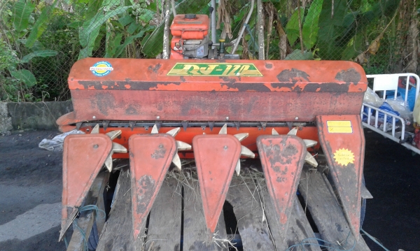 ของถูกมาอีกแล้ว