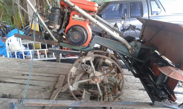 ของถูกมาอีกแล้ว ของถูกมาอีกแล้ว