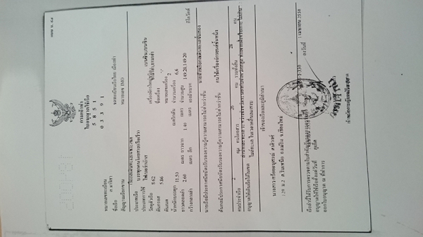 ขายเรือสปีดโบ้ท 30 ที่นั่ง ภูเก็ต