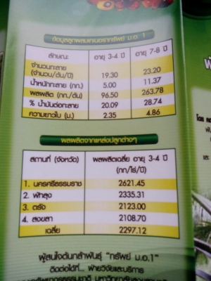 พันธ์ปาล์มทรัพย์ มอ1