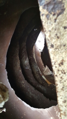 รถนิสสัน  10  ล้อ UD โม่ปูน CWM430 / 230 แรงม้า.  ( มีขาย 2 คัน. )     สนใจติดต่อ  081 - 6079515