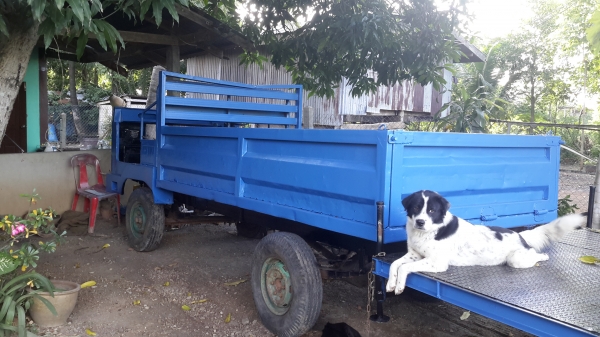 แต๋นๆๆพร้อมใช้ ตามสภาพ ด่วนๆๆ