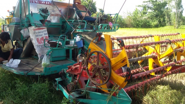 ขายรถเกี่ยวข้าวศักดิ์พัฒนารองกระสอบราคา290000บาทเครื่องjo8cเทอโบ