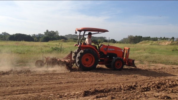 รถไถ KUBOTA L3608 (ราคา278,000บาท) มีภาพวีดีโอ สภาพพร้อมใช้งานรถสวยสภาพเดิมๆ พร้อมอุปกรณ์ 2 รายการ ผ รถไถ KUBOTA L3608 (ราคา278,000บาท) มีภาพวีดีโอ สภาพพร้อมใช้งานรถสวยสภาพเดิมๆ พร้อมอุปกรณ์ 2 รายการ ผ