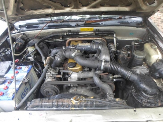 ขาย isuzu dragon cab