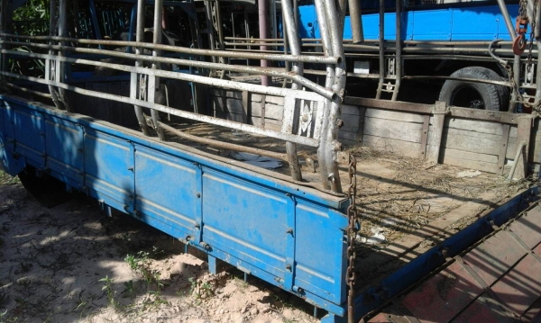 หกล้อ อีซูซุ TL85 ช่วงสั้น ตู้นวดข้าวเกษตรพัฒนา5ฟุต พร้อมใช้ เล่มทะเบียนชุดโอนมีครบ