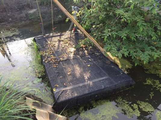 แพโฟมลอยน้ำ กว้าง 1.20 เมตร ยาว 2.40 เมตร หนา 8 นิ้ว หุ้มสแลน 90\% 2 ชั้น พร้อมชุดโซ่ล็อคกันขโมย ซื้อมาใช้ไม่กี่ครั้ง จอดทิ้งไว้ใต้ร่มไม้ตลอด ราคาต่อรองได้ อยู่หลังโรงเรียนบ้านคลองใหม่ ซอยคลองใหม่ ห่างทางแยกสามพราน 1 ไฟแดง อ.สามพราน จ.นครปฐม