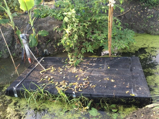 แพโฟมลอยน้ำ กว้าง 1.20 เมตร ยาว 2.40 เมตร หนา 8 นิ้ว หุ้มสแลน 90\% 2 ชั้น พร้อมชุดโซ่ล็อคกันขโมย ซื้อมาใช้ไม่กี่ครั้ง จอดทิ้งไว้ใต้ร่มไม้ตลอด ราคาต่อรองได้ อยู่หลังโรงเรียนบ้านคลองใหม่ ซอยคลองใหม่ ห่างทางแยกสามพราน 1 ไฟแดง อ.สามพราน จ.นครปฐม