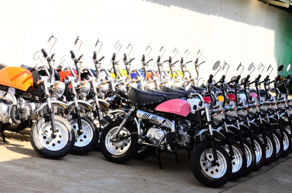 มังกี้ กอลิล่า เดิม ราคาสุดๆ เริ่มต้นเพียง 2XXXX  แต่งๆๆ ลดราคาทุกรุ่นและมีของแถมอีกมากมาย  ด่วนๆๆ ลดๆๆ   เริ่มต้นราคา ที 22999