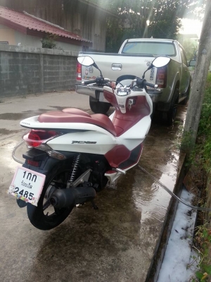 ขาย-แลกบึ๊กไบท์ HONDA PCX150 ปี56 บ้านๆวิ่ง9000กว่าโล สนใจติดต่อได้ครับ ขาย-แลกบึ๊กไบท์ HONDA PCX150 ปี56 บ้านๆวิ่ง9000กว่าโล สนใจติดต่อได้ครับ