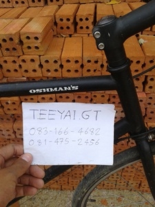 จักรยานทรง tokyo bike