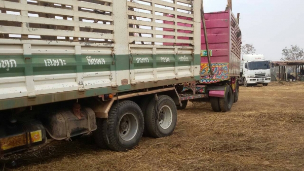 HINO   FM2K พ่วง  22 ล้อ  ขายถูก