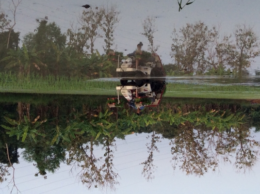 ขายรถดำนา yanmar vp4 รุ่นใหม่เก่านอก พร้อมใช้งาน ขายรถดำนา yanmar vp4 รุ่นใหม่เก่านอก พร้อมใช้งาน