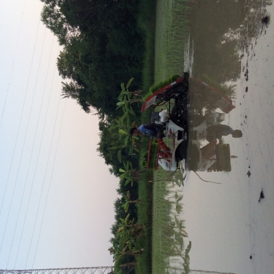 ขายรถดำนา yanmar vp4 รุ่นใหม่เก่านอก พร้อมใช้งาน ขายรถดำนา yanmar vp4 รุ่นใหม่เก่านอก พร้อมใช้งาน