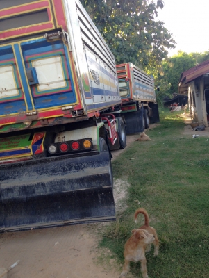 ขายรถสิบล้อพ่วงDEGA 270