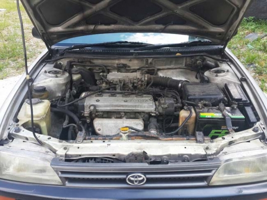 สามห่วง มือเดียวป้ายแดง