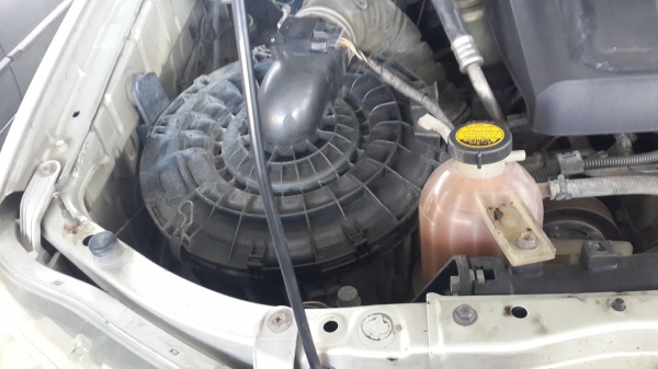 รถบริษัท ขายตามสภาพ รถบริษัท ขายตามสภาพ