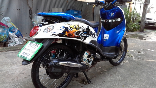 ขายฟีโน่ปี54