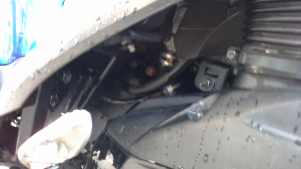 ขายฟีโน่ปี54