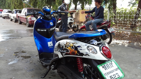 ขายฟีโน่ปี54