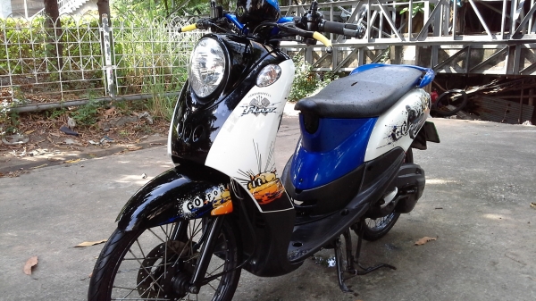 ขายฟีโน่ปี54