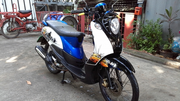 ขายฟีโน่ปี54