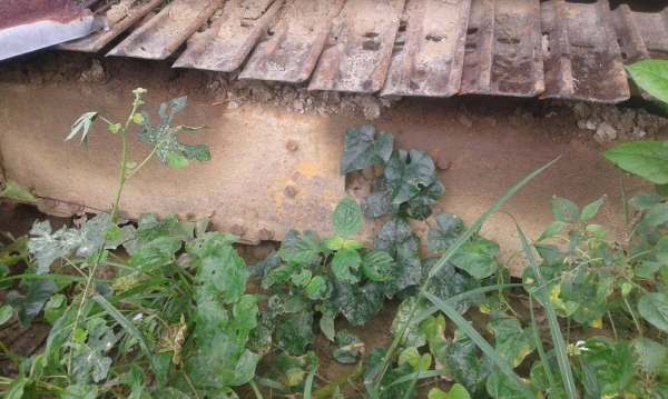 ขายรถแบคโฮ KOMATSU PC30-5 มีเก๋ง ราคา 230000